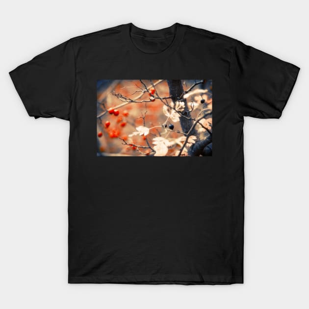 Autumn Forest T-Shirt by cinema4design